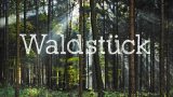 waldstueck