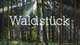 waldstueck_kl